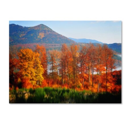 Trademark Fine Art Philippe Sainte-Laudy 'Swing' Canvas Art, 16x24 PSL0210-C1624GG